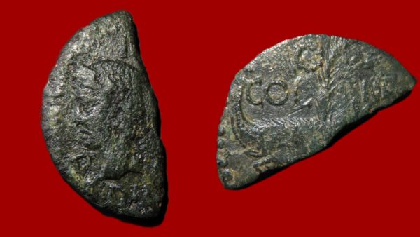 Demi Dupondius de Nîmes (Type 4)