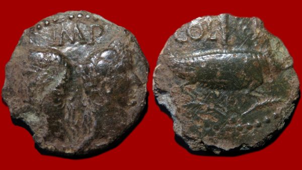 Dupondius de Nîmes (Type 3)