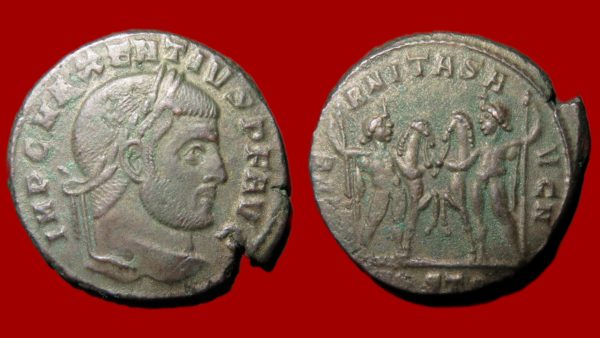 Maxence - Follis