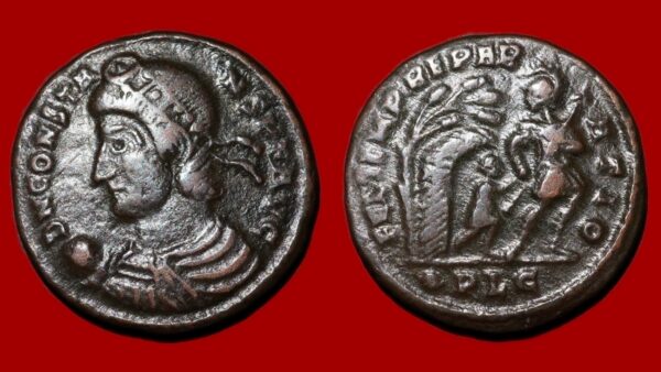 Constans - Maiorina