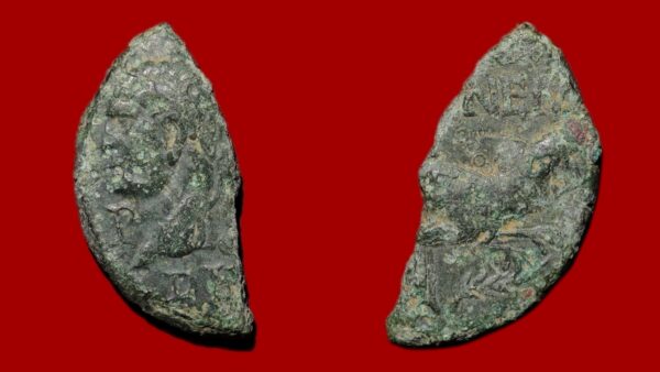Demi Dupondius de Nîmes (Type 4)