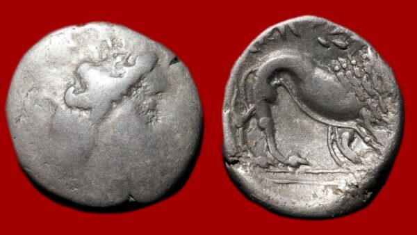 Celto Ligures - Drachme légère, imitation de Marseille