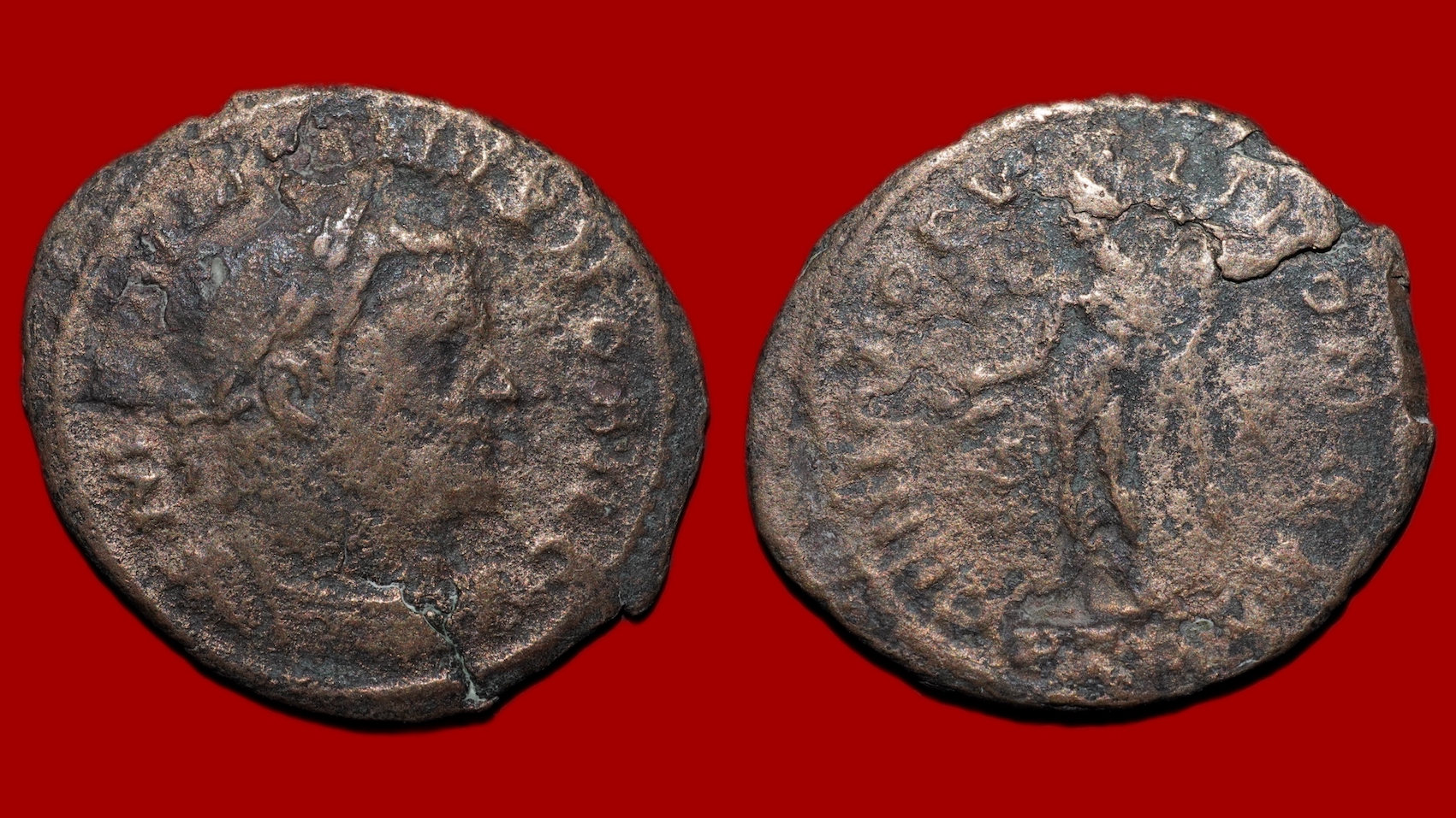 Maximin II Daia - Follis