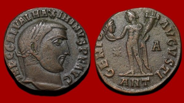 Maximin II Daia - Follis