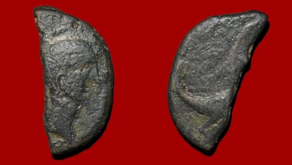 Demi Dupondius de Nîmes (Type 2)