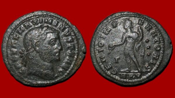 Maximin II Daia - Follis