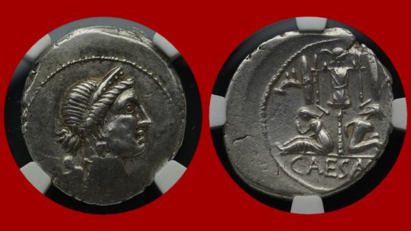 Jules César - Denier (NGC)