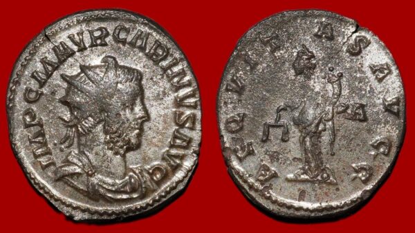 Carin - Aurélianus