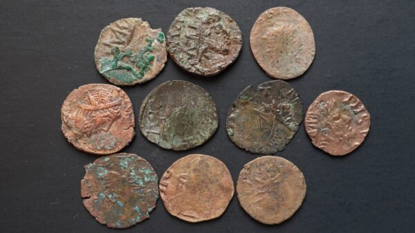 Lot de 10 minimi