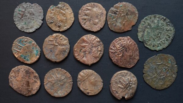 Lot de 14 minimi