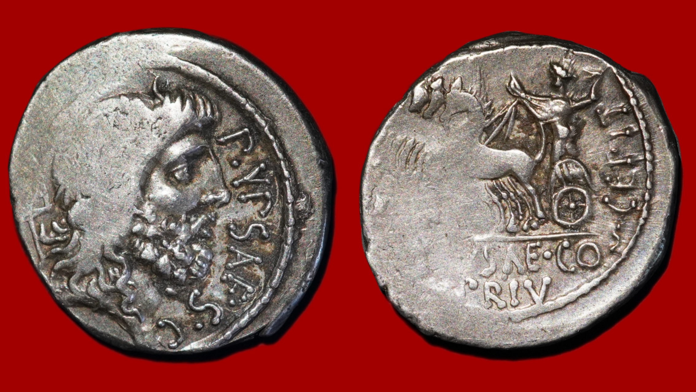 Plautia - Denier