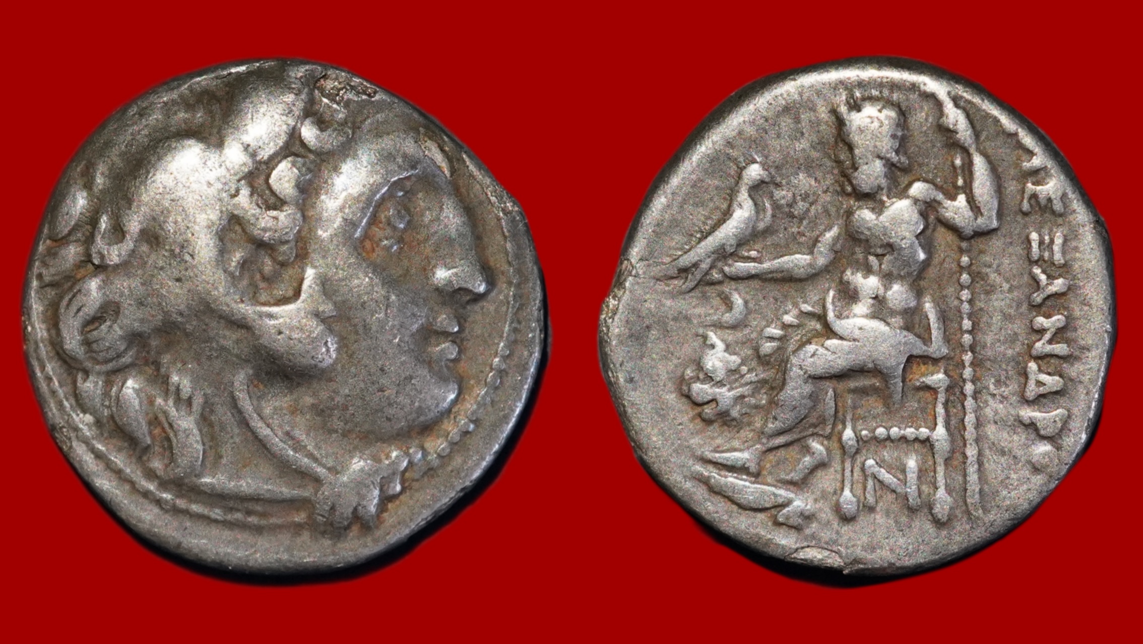 Lysimaque - Drachme