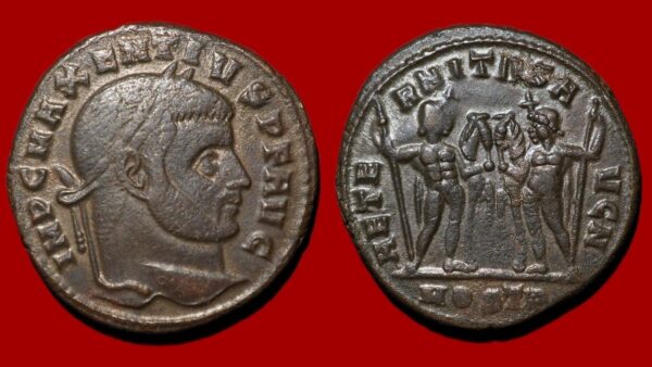 Maxence - Follis