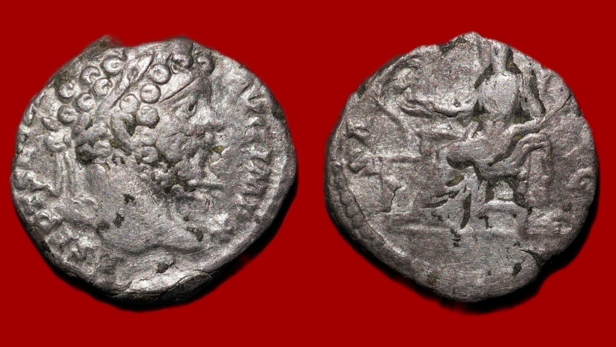 Septime Sévère - Denier