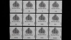 Calendrier de l'Avent - Monnaies Diverses (12 Cases)