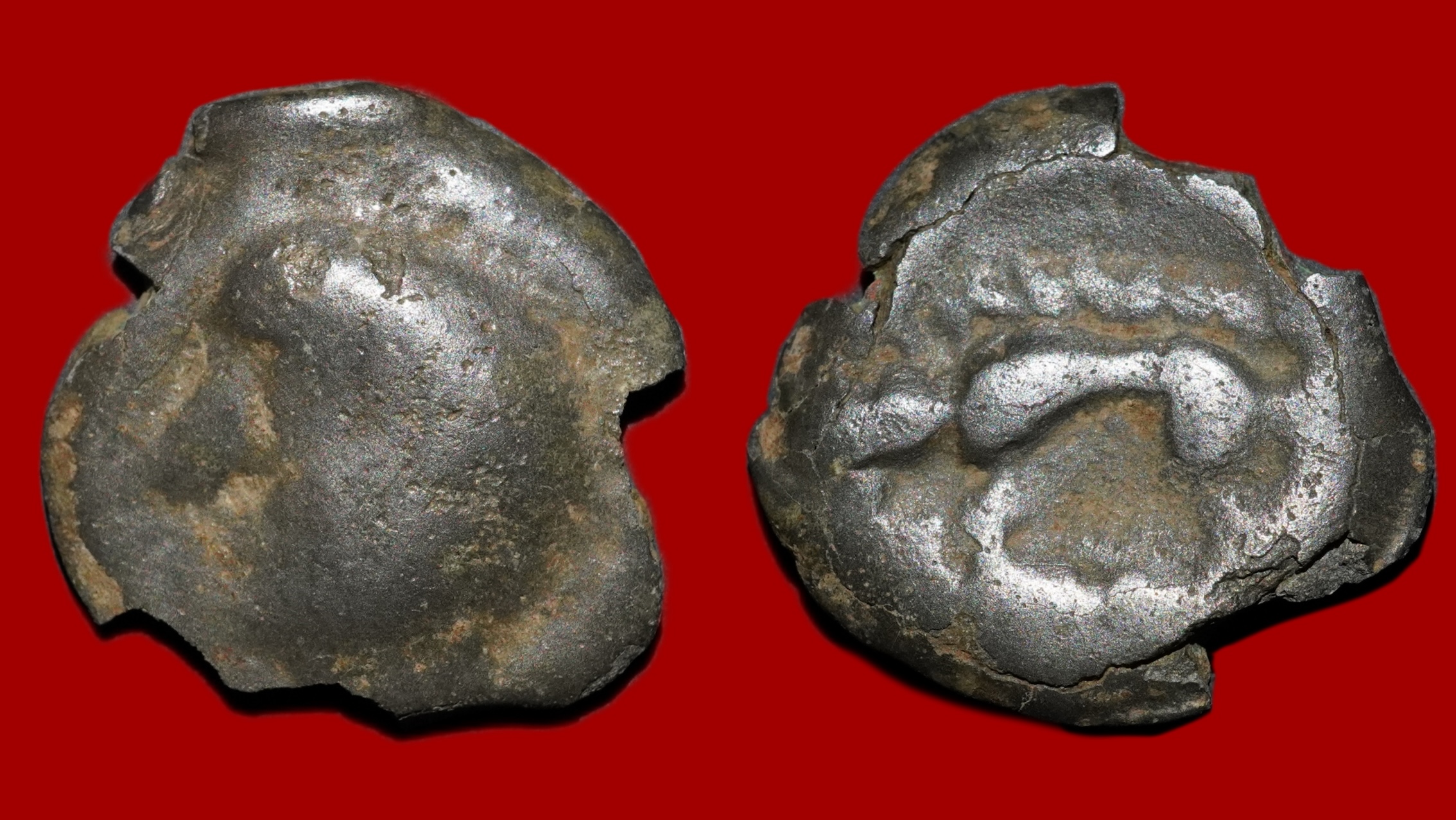 Haute et Moyenne Seine - Potin à la tête chauve