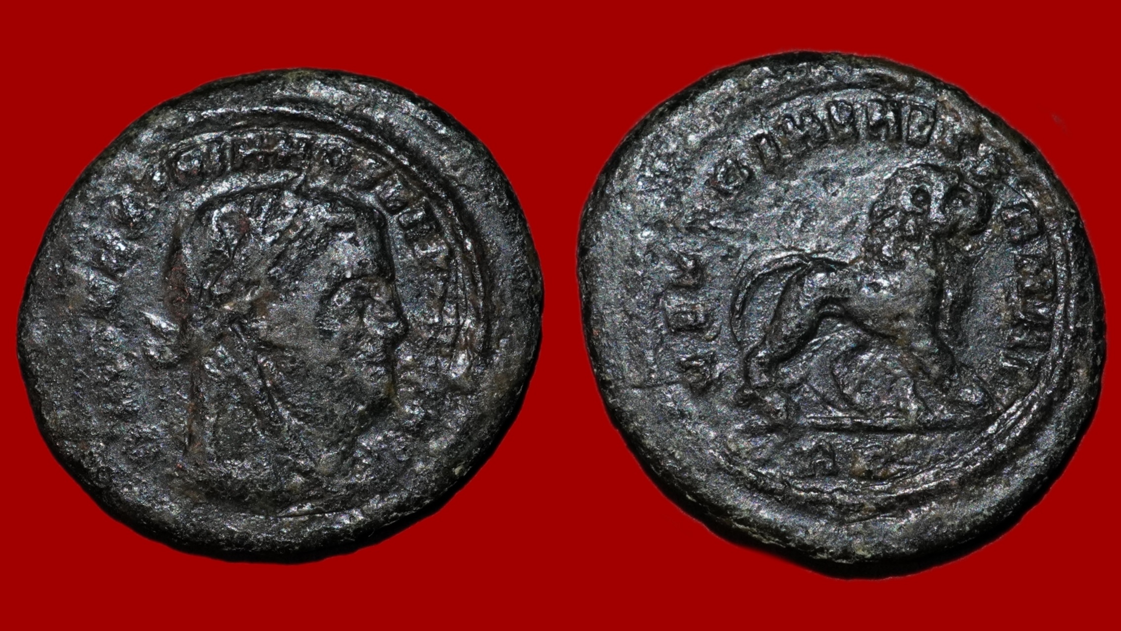 Maximien Hercule - Demi Follis