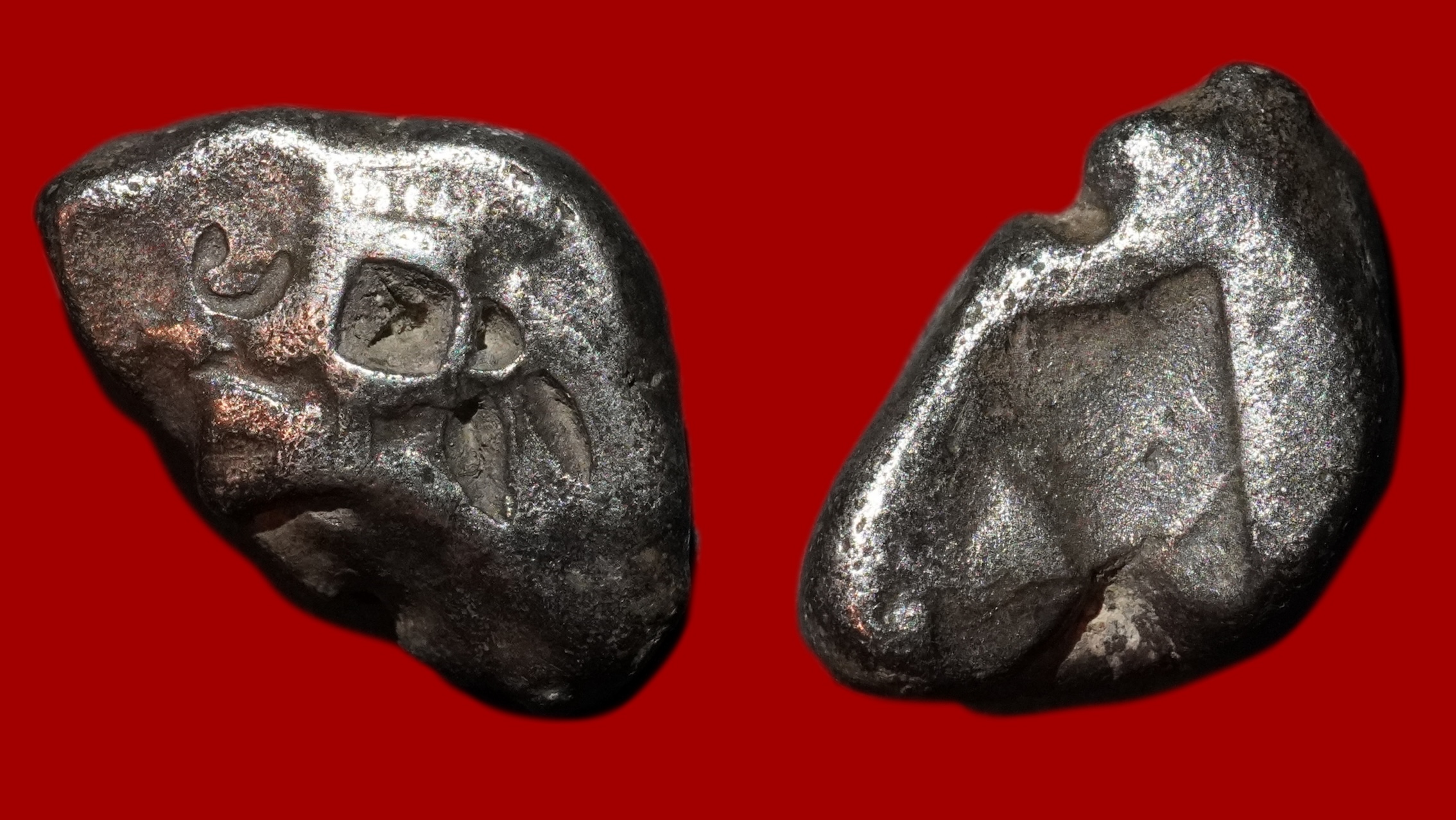 Perse - Sicle d'Argent