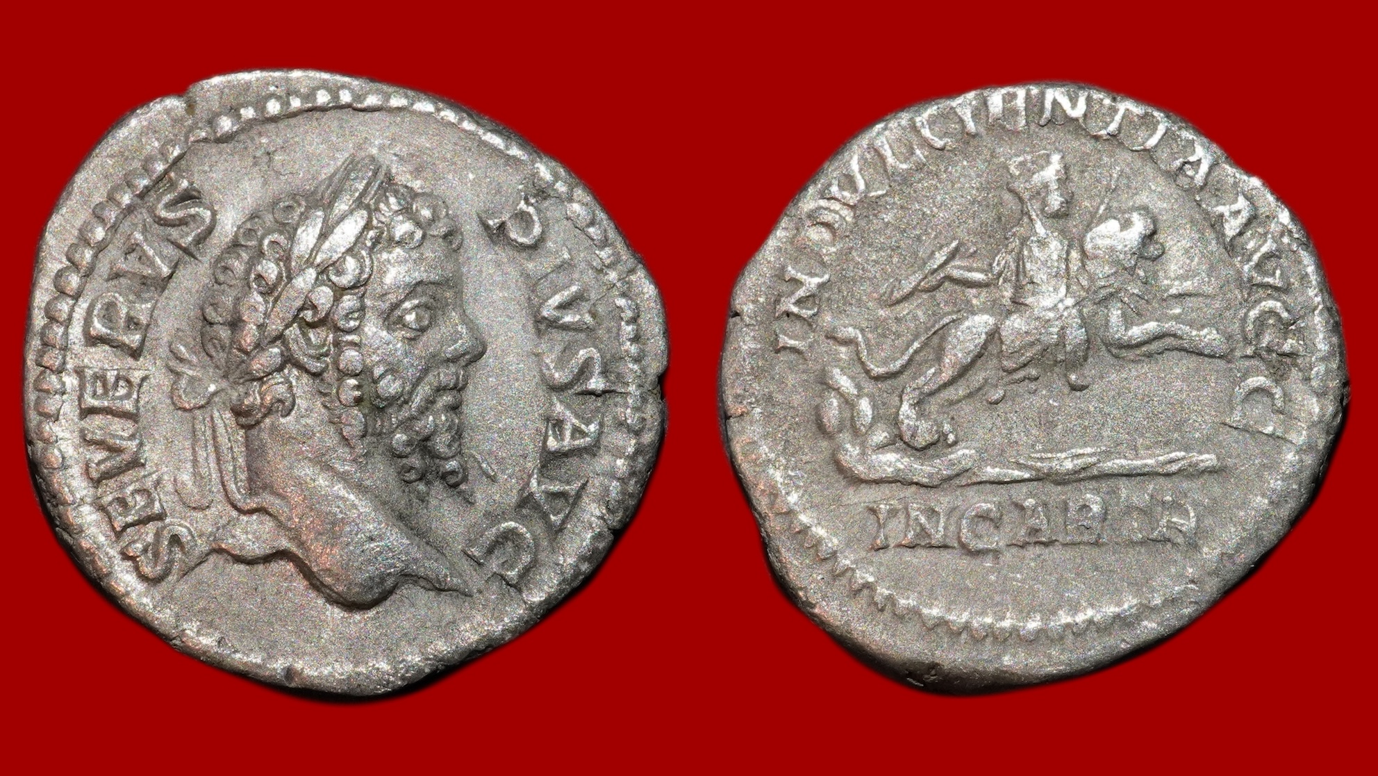 Septime Sévère - Denier
