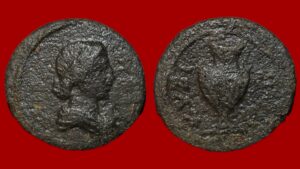 Cyzique - Hemichalque