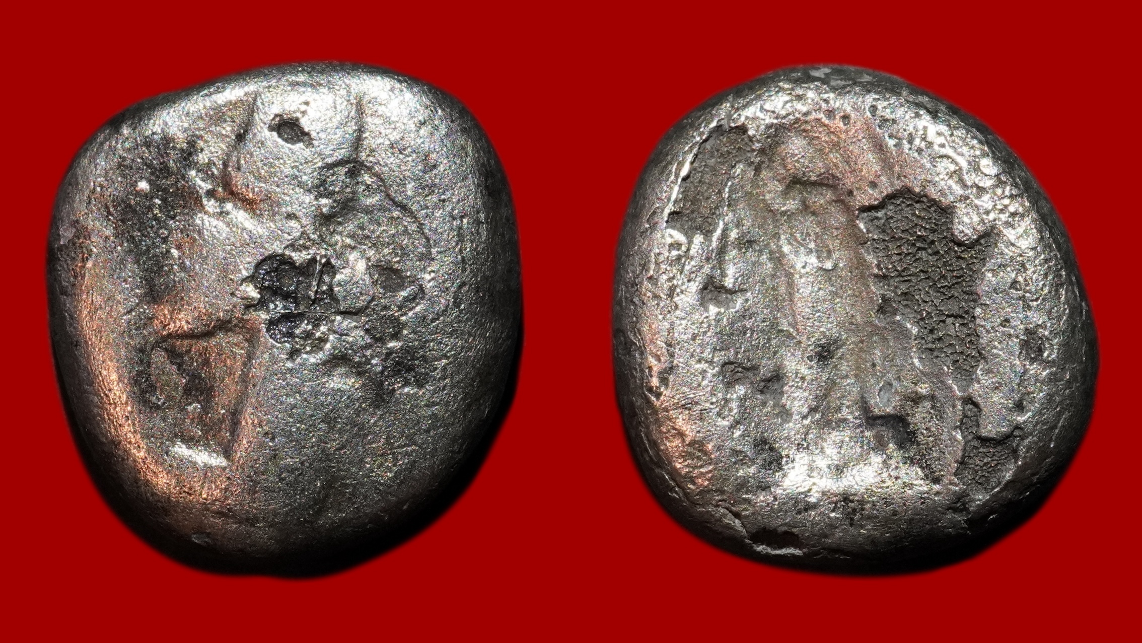 Perse - Sicle d'Argent