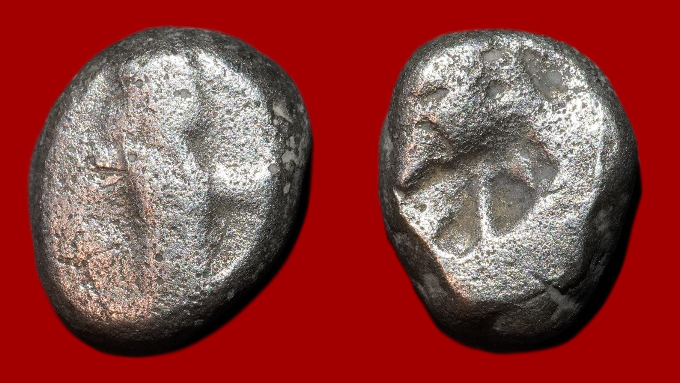 Perse - Sicle d'Argent