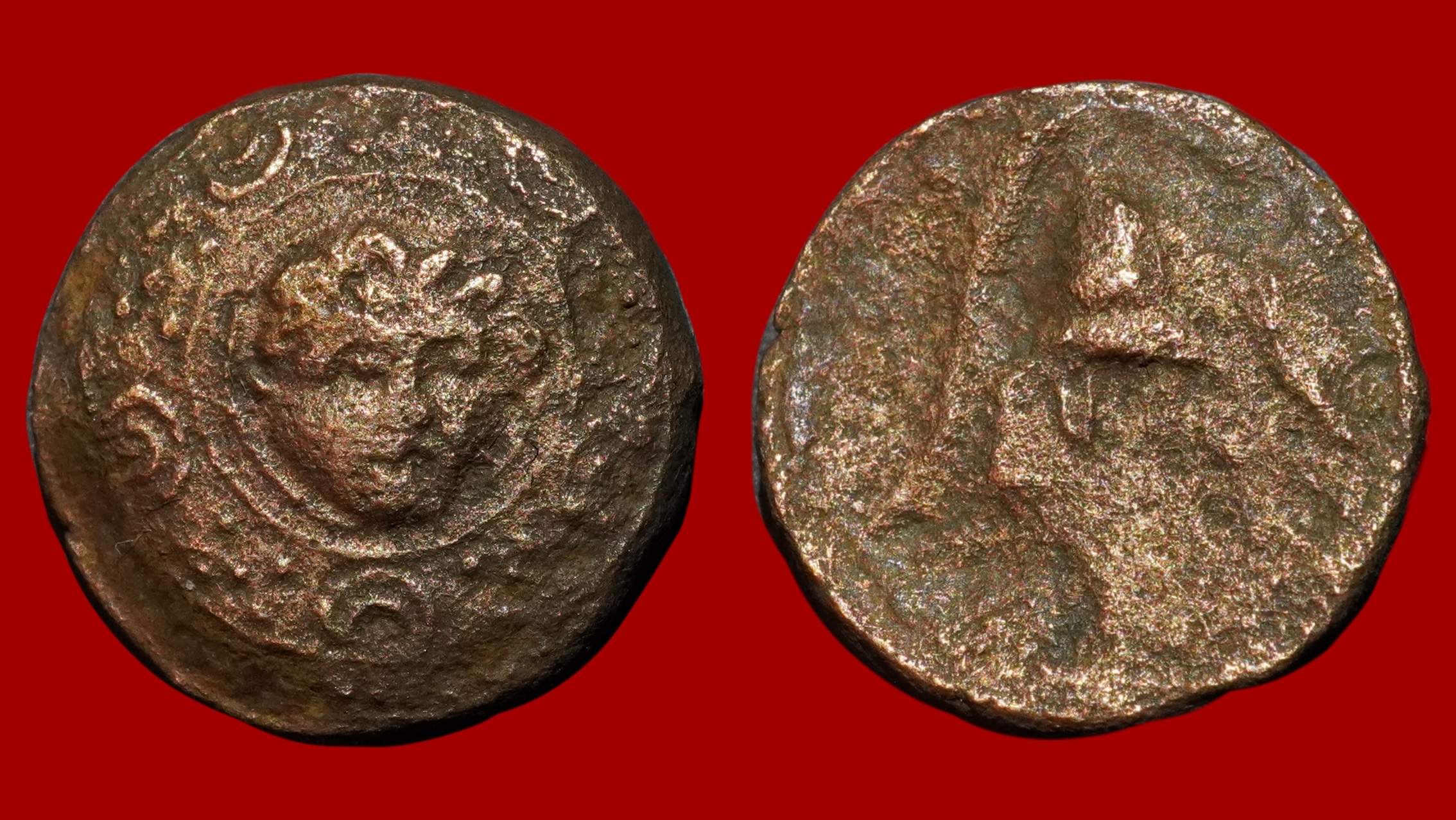 Alexandre IV - Demi Unité