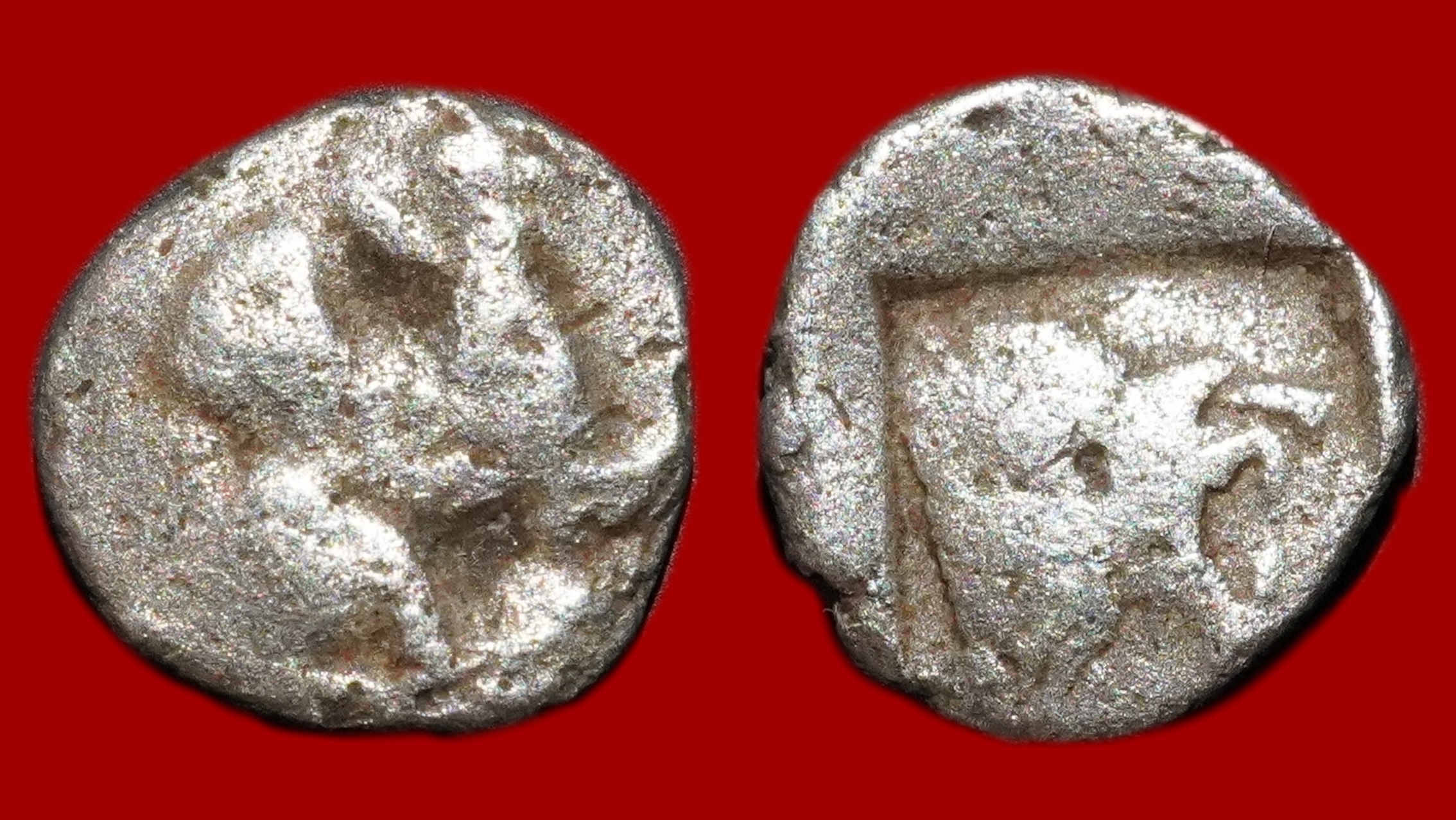 Assos - Obole
