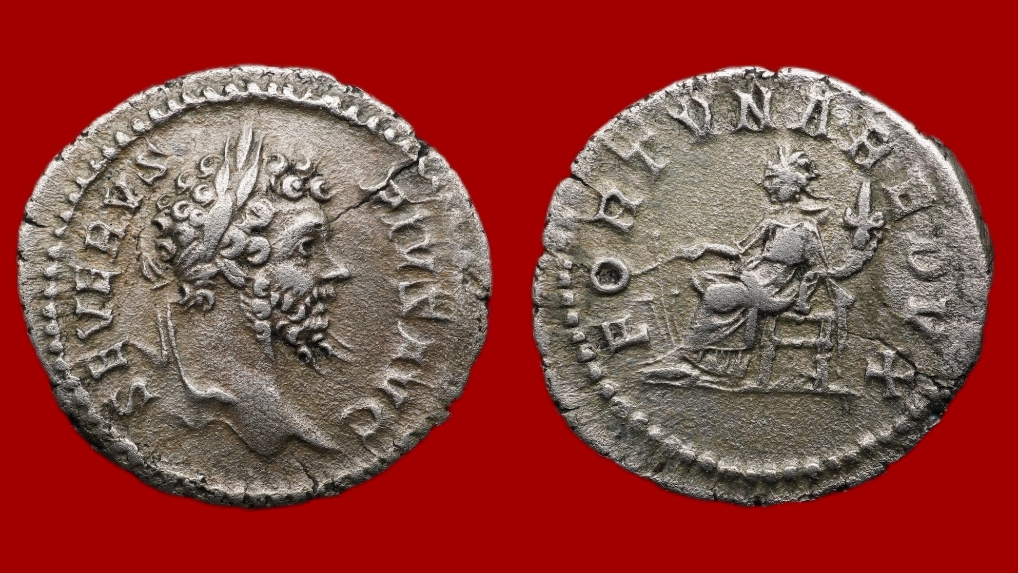 Septime Sévère - Denier