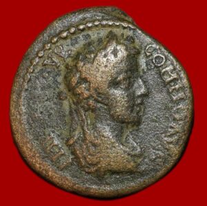 Triassaria