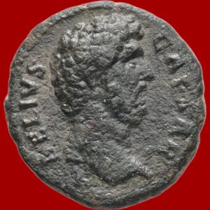 Aelius
